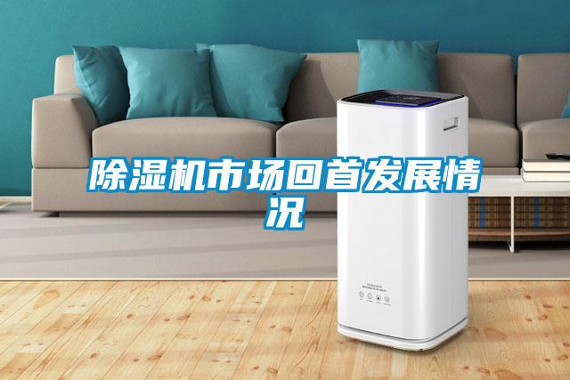 好色先生污污版市场回首发展情况