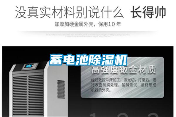 蓄电池好色先生污污版