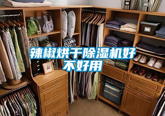 辣椒烘干好色先生污污版好不好用