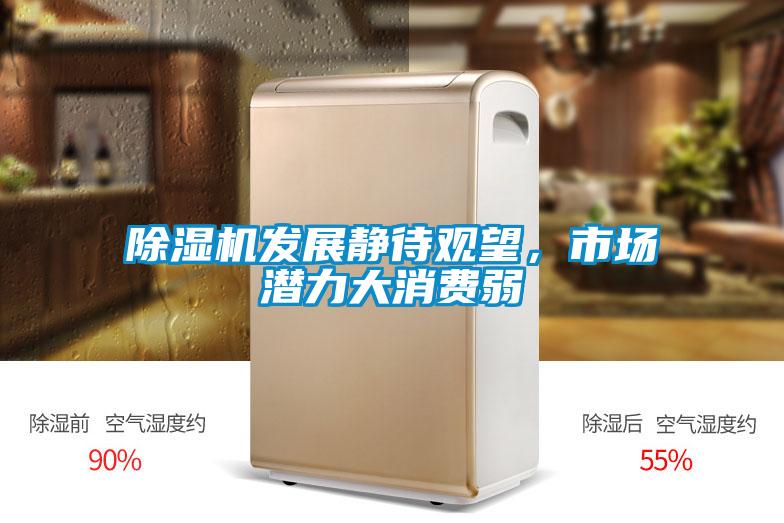 好色先生污污版发展静待观望，市场潜力大消费弱