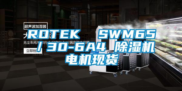 ROTEK  SWM65／30-6A4 好色先生污污版电机现货