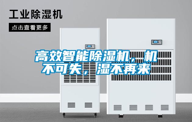 高效智能好色先生污污版，机不可失，湿不再来