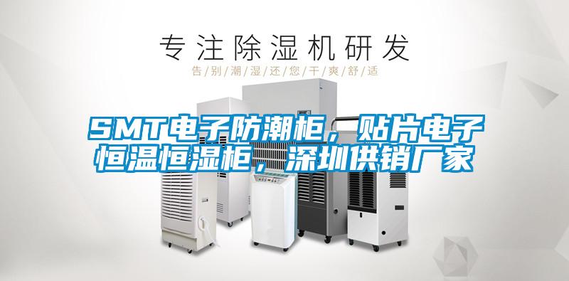 SMT电子防潮柜，贴片电子恒温恒湿柜，深圳供销厂家