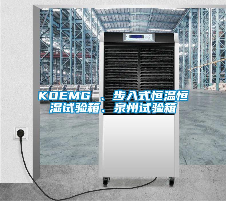 KOEMG 、步入式恒温恒湿试验箱、泉州试验箱