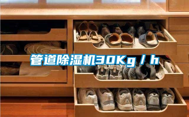 管道好色先生污污版30Kg／h