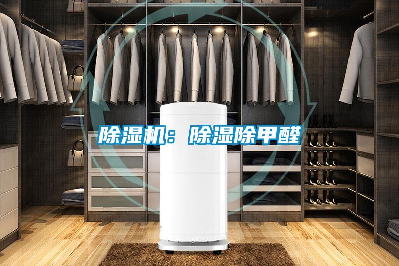 好色先生污污版：除湿除甲醛