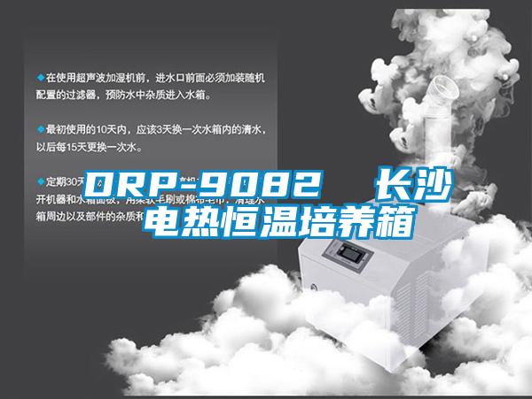 DRP-9082 长沙 电热恒温培养箱