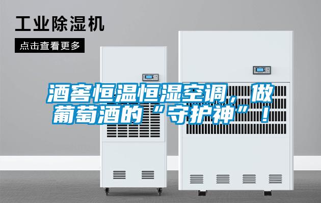 酒窖恒温恒湿空调，做葡萄酒的“守护神”！