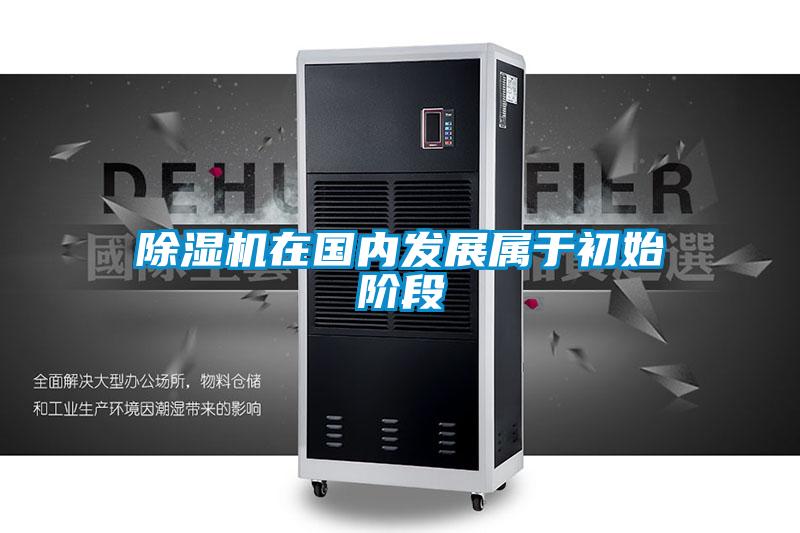 好色先生污污版在国内发展属于初始阶段