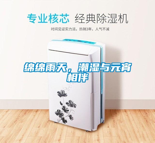 绵绵雨天，潮湿与元宵相伴