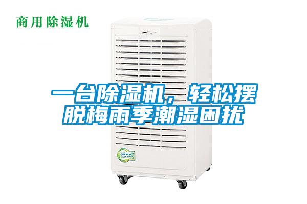 一台好色先生污污版，轻松摆脱梅雨季潮湿困扰