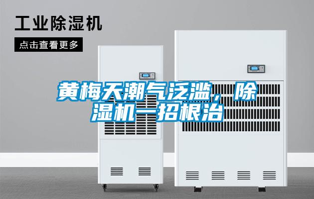 黄梅天潮气泛滥，好色先生污污版一招根治