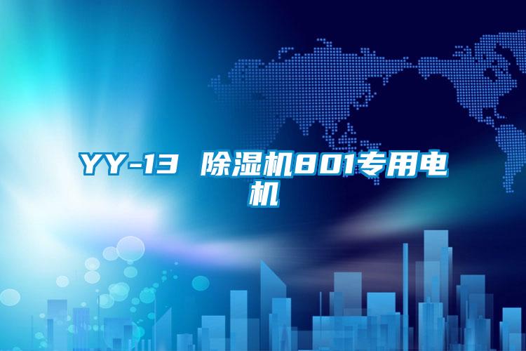 YY-13 好色先生污污版801专用电机