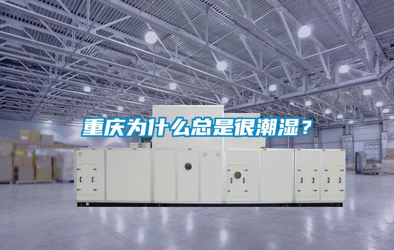 重庆为什么总是很潮湿？