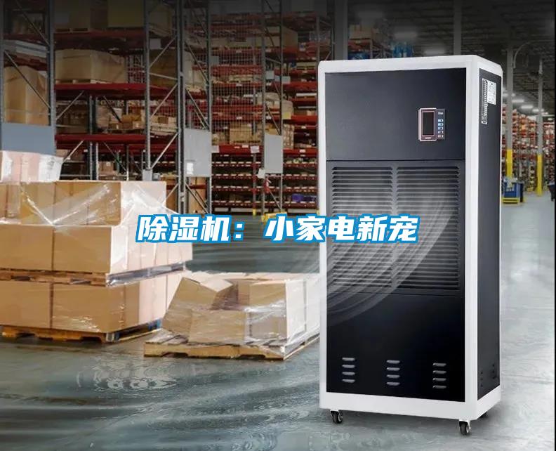 好色先生污污版：小家电新宠