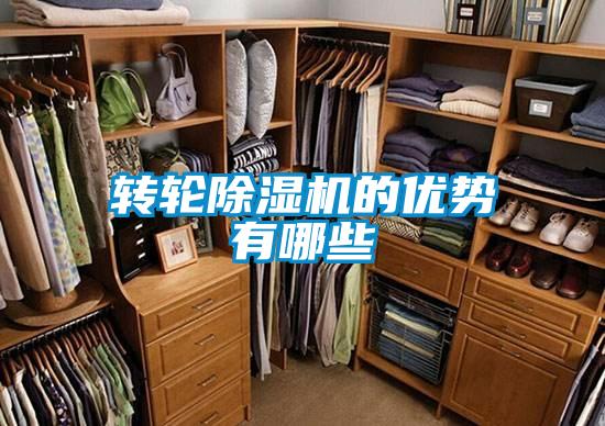 转轮好色先生污污版的优势有哪些