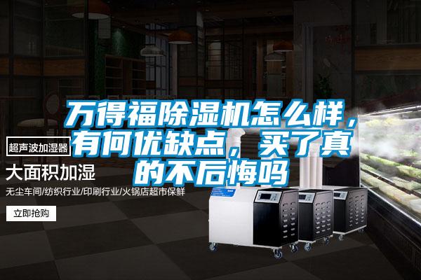 万得福好色先生污污版怎么样，有何优缺点，买了真的不后悔吗