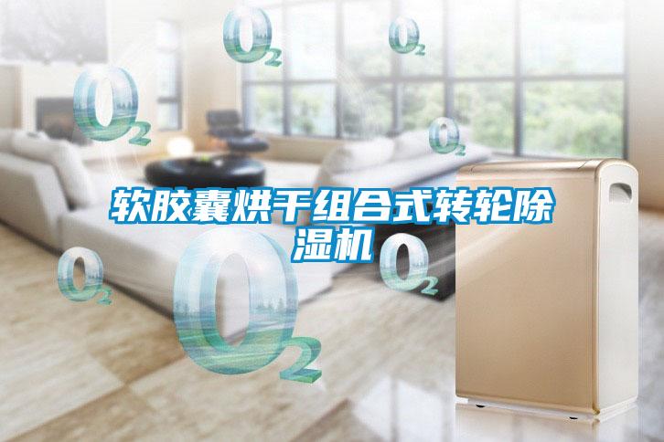 软胶囊烘干组合式转轮好色先生污污版