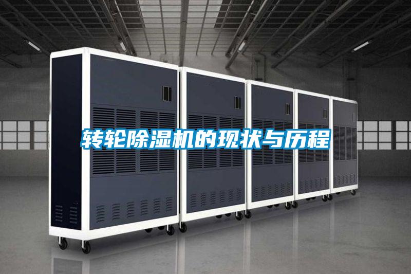 转轮好色先生污污版的现状与历程