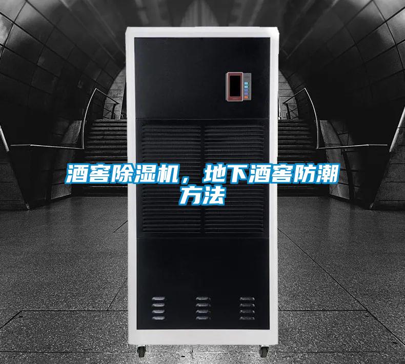 酒窖好色先生污污版，地下酒窖防潮方法