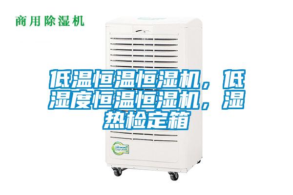 低温恒温恒湿机，低湿度恒温恒湿机，湿热检定箱