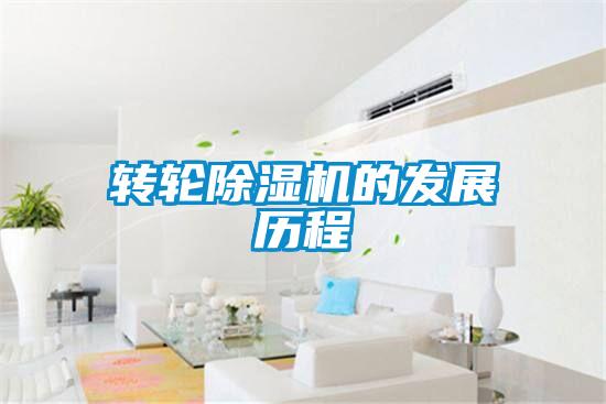 转轮好色先生污污版的发展历程