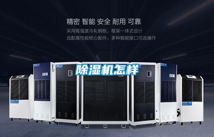 好色先生污污版怎样