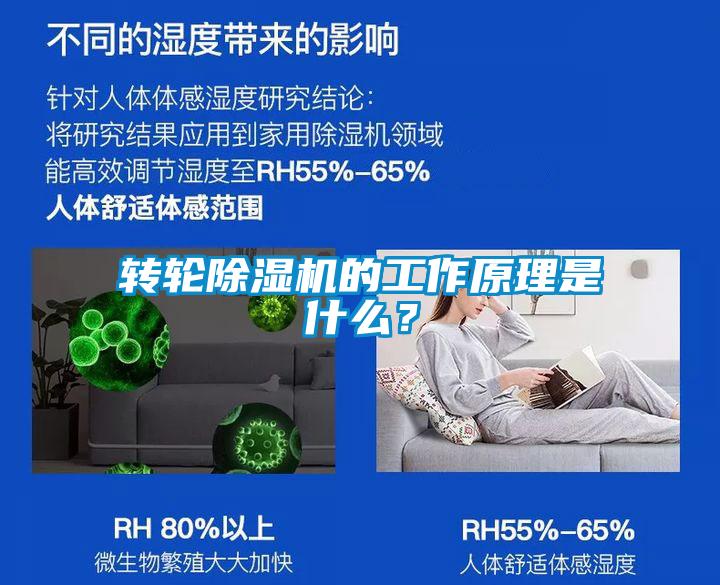 转轮好色先生污污版的工作原理是什么？