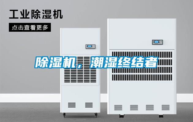 好色先生污污版，潮湿终结者