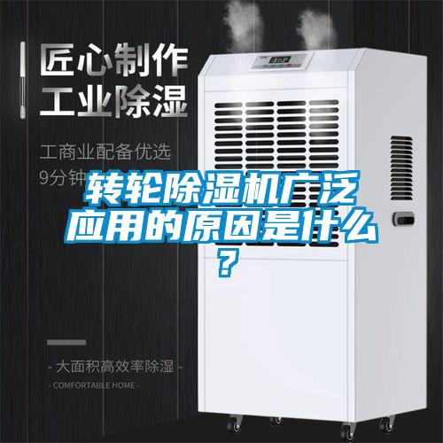 转轮好色先生污污版广泛应用的原因是什么？