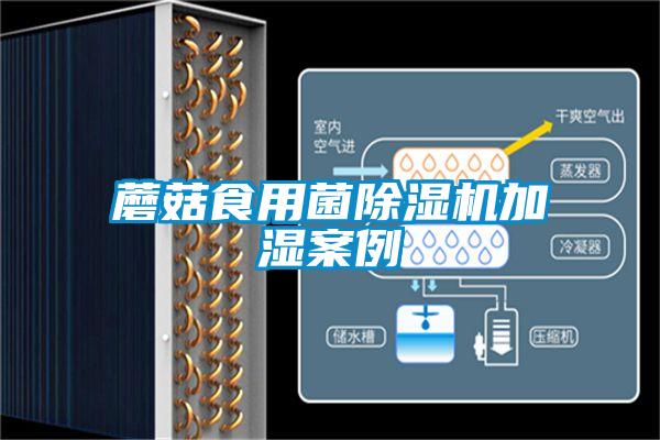 蘑菇食用菌好色先生污污版加湿案例