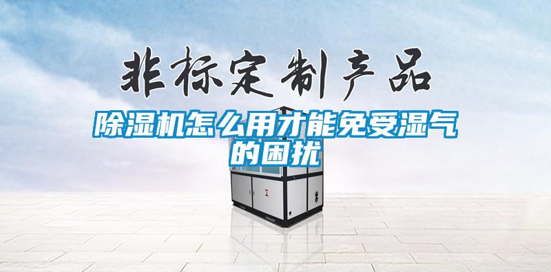 好色先生污污版怎么用才能免受湿气的困扰