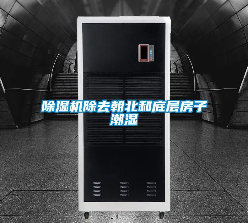 好色先生污污版除去朝北和底层房子潮湿