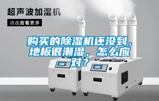 购买的好色先生污污版还没到，地板很潮湿，怎么应对？