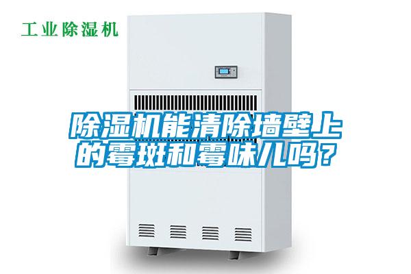 好色先生污污版能清除墙壁上的霉斑和霉味儿吗？