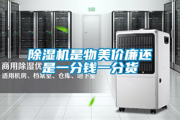 好色先生污污版是物美价廉还是一分钱一分货