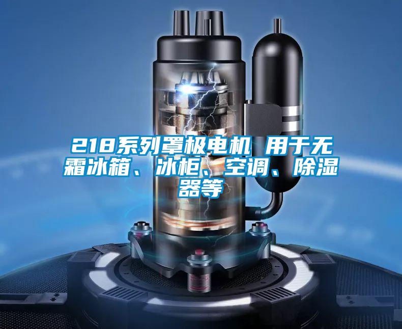 218系列罩极电机 用于无霜冰箱、冰柜、空调、除湿器等