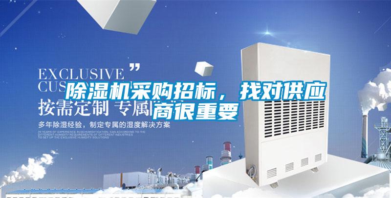 好色先生污污版采购招标，找对供应商很重要