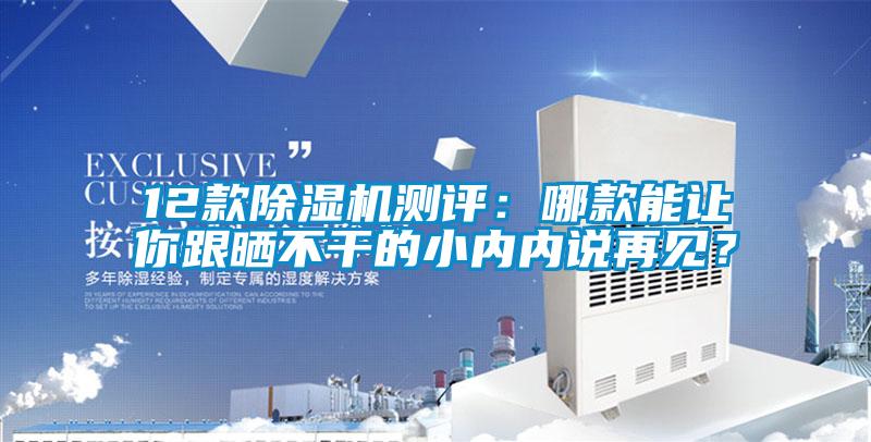 12款好色先生污污版测评：哪款能让你跟晒不干的小内内说再见？