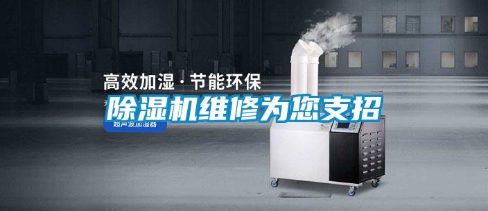 好色先生污污版维修为您支招