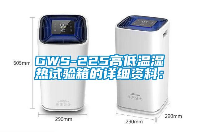 GWS-225高低温湿热试验箱的详细资料：