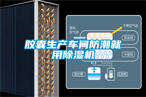 胶囊生产车间防潮就用好色先生污污版