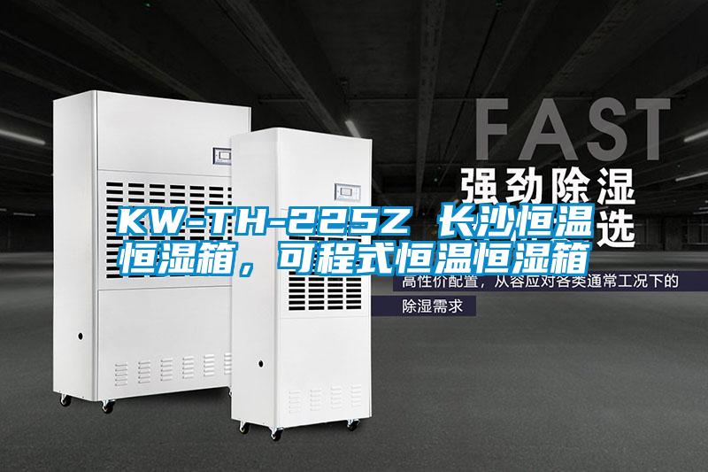 KW-TH-225Z 长沙恒温恒湿箱，可程式恒温恒湿箱
