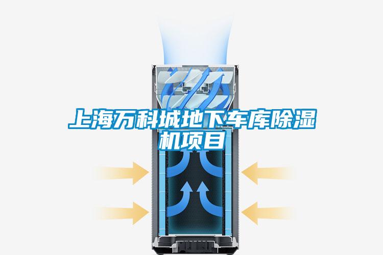 上海万科城地下车库好色先生污污版项目