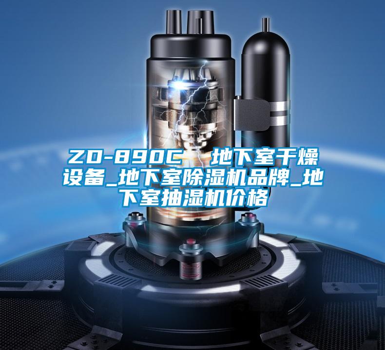 ZD-890C  地下室干燥设备_地下室好色先生污污版品牌_地下室抽湿机价格