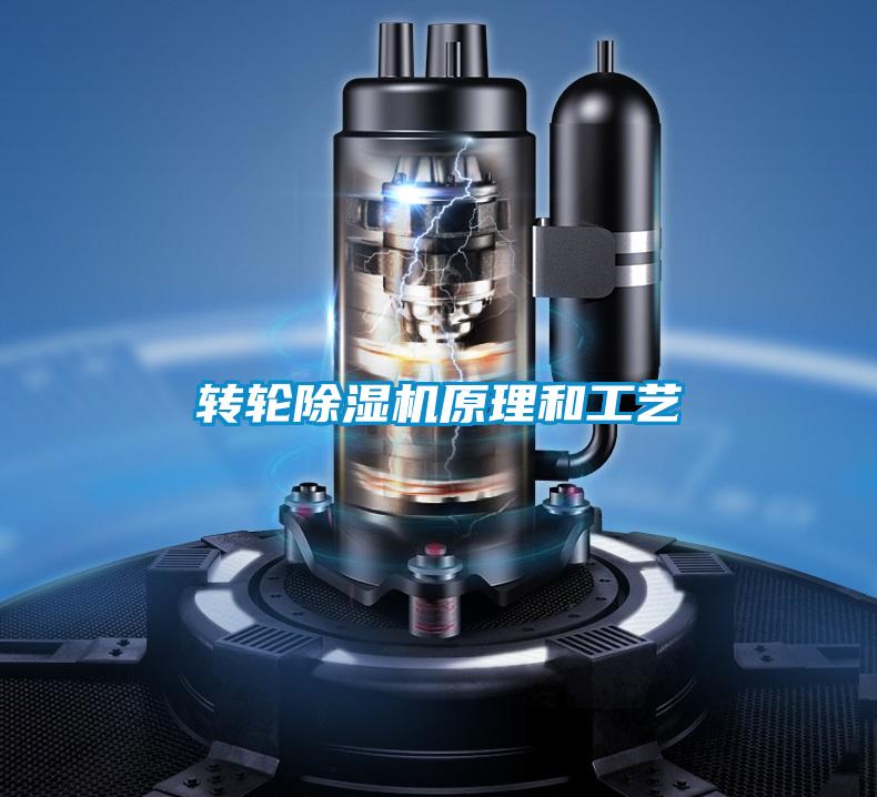 转轮好色先生污污版原理和工艺