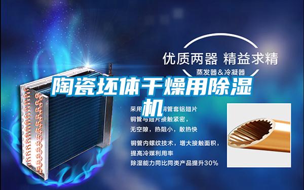 陶瓷坯体干燥用好色先生污污版