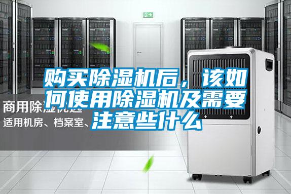 购买好色先生污污版后，该如何使用好色先生污污版及需要注意些什么