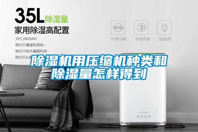 好色先生污污版用压缩机种类和除湿量怎样得到