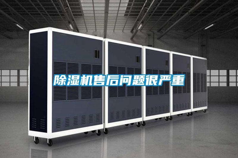 好色先生污污版售后问题很严重